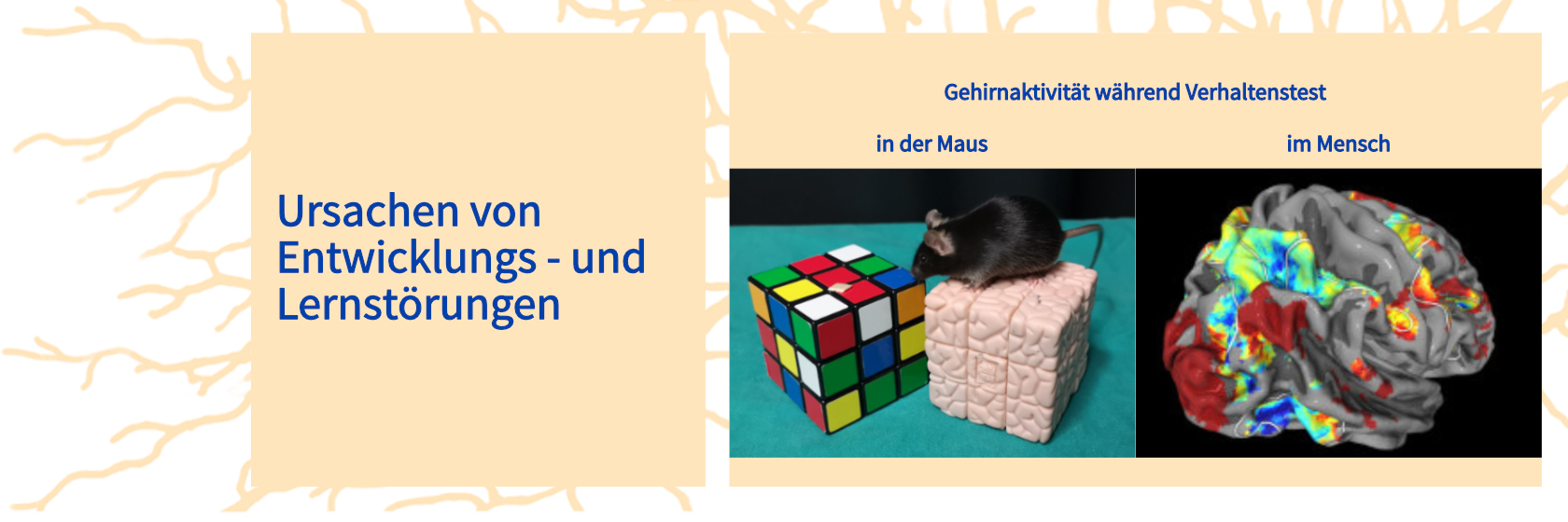 Causes of learning_de