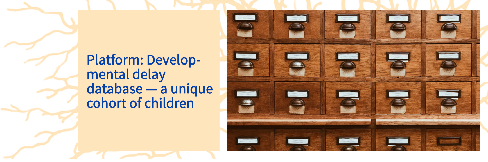 Developmental Delay Database